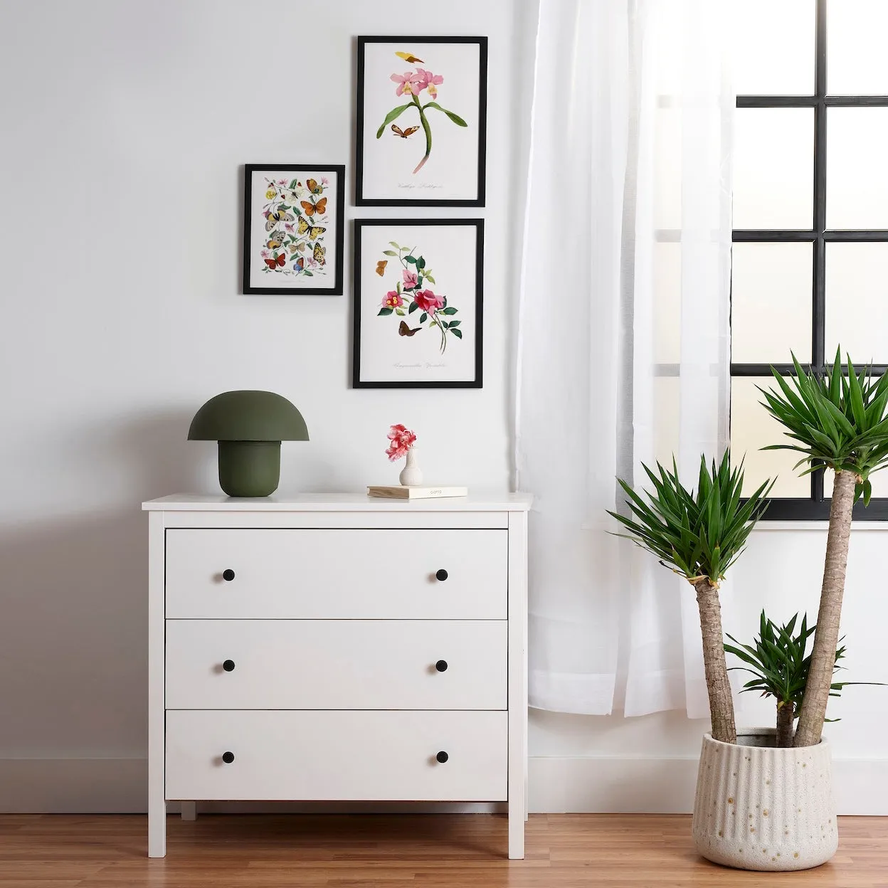 Society6 From Le Jardin Des Plantes affiche encadrée pivoines