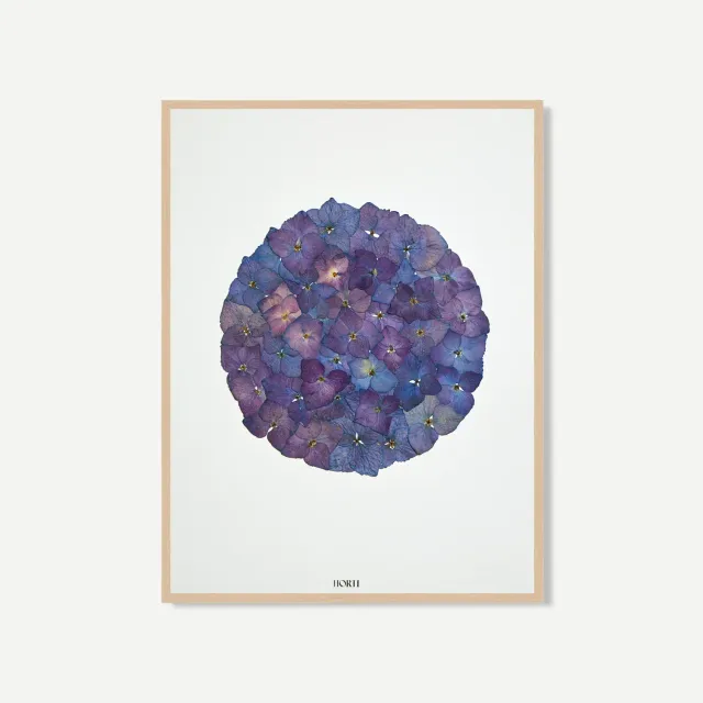 Horti NÉO herbier 30x40 cm hortensia