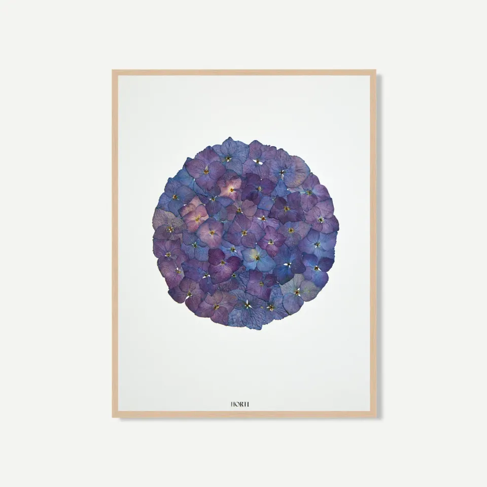 Horti NÉO herbier 30x40 cm hortensia