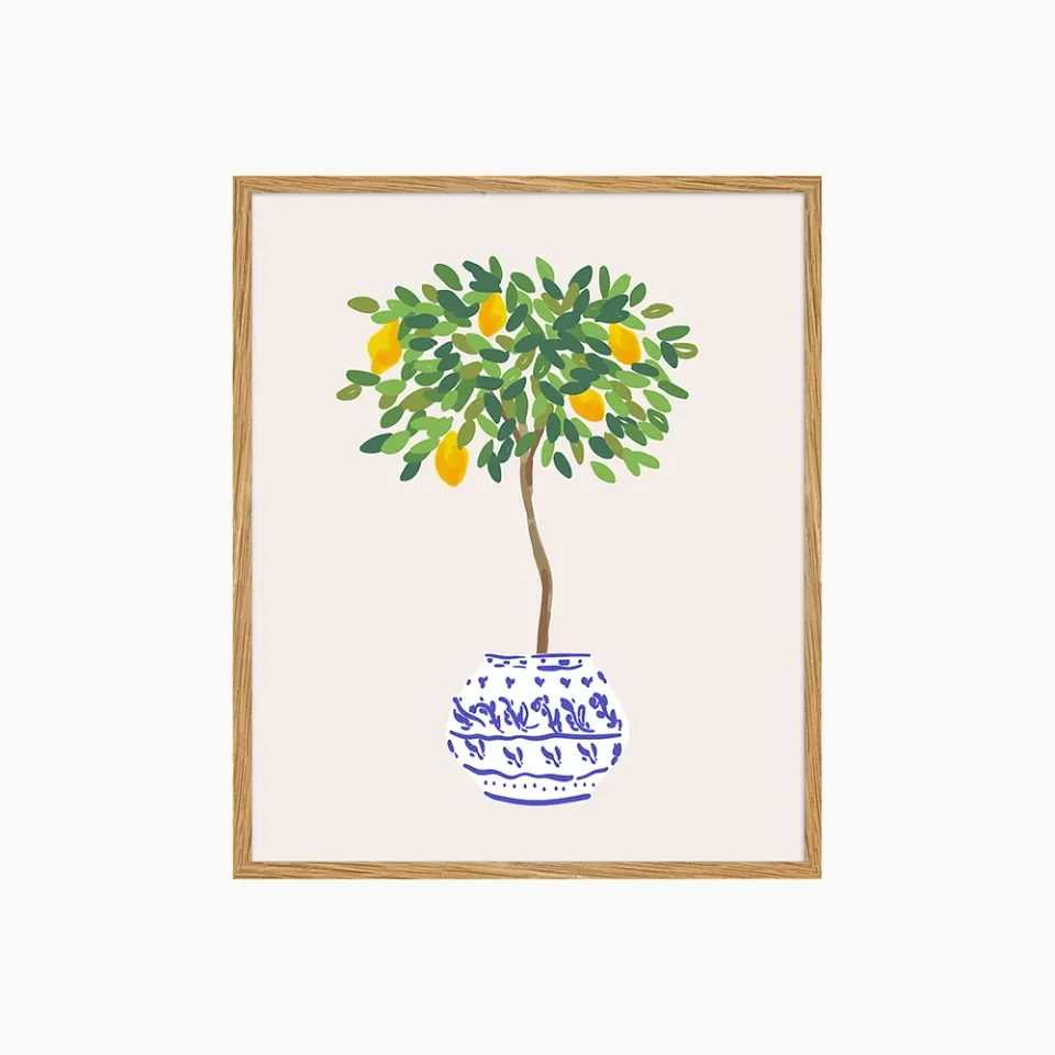 Any Image Liv Corday Citrus Bloom tableau encadré floral