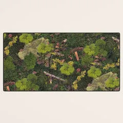 Society6 Forest Floor tapis de bureau sous-bois vert