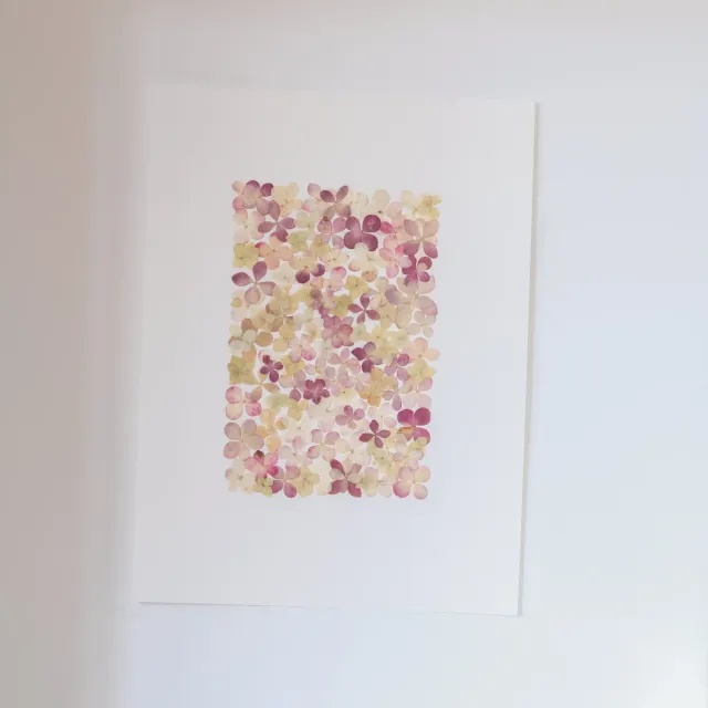 Horti Elfi herbier encadré 30x40 cm hortensia