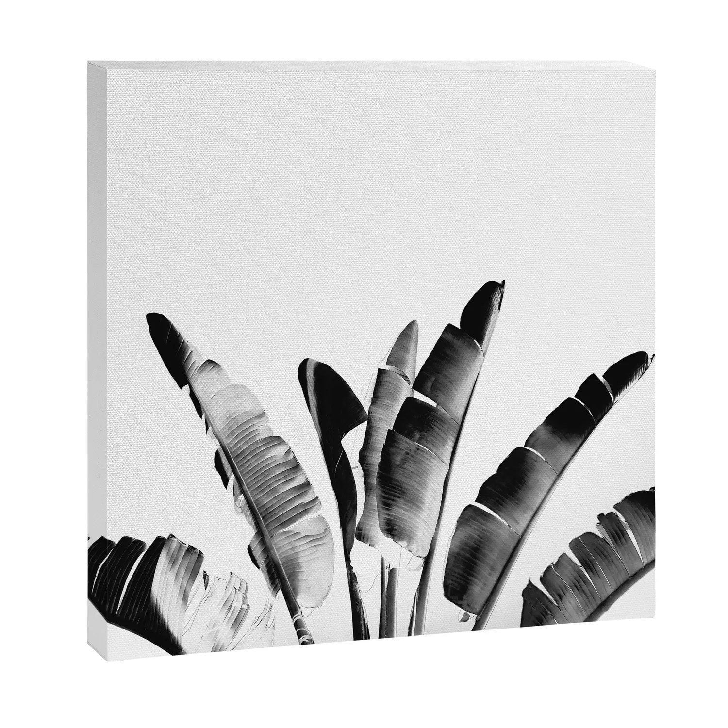 Society6 Traveler palm - bw toile feuillage
