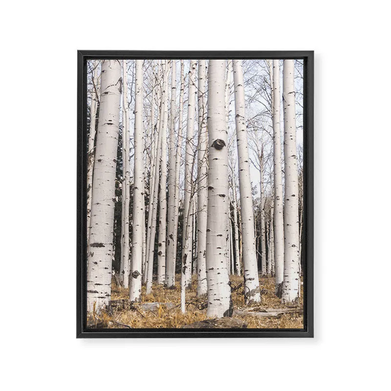 Society6 Trees of Reason Birch Forest toile encadrée forêt