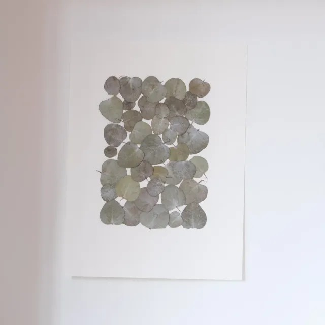 Horti Tuk herbier encadré 30x40 eucalyptus