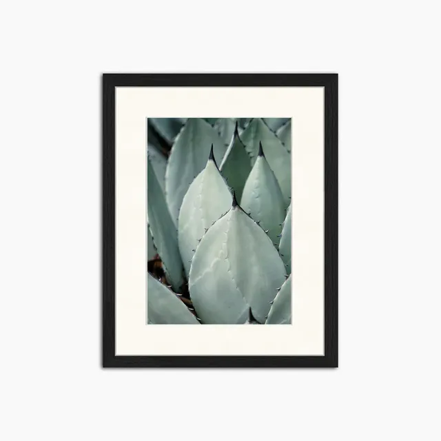 Liv Corday Cacti toile encadrée cactus graphique