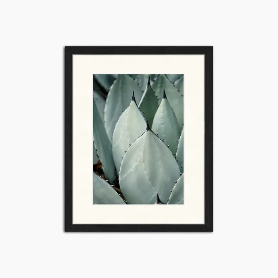 Liv Corday Cacti toile encadrée cactus graphique
