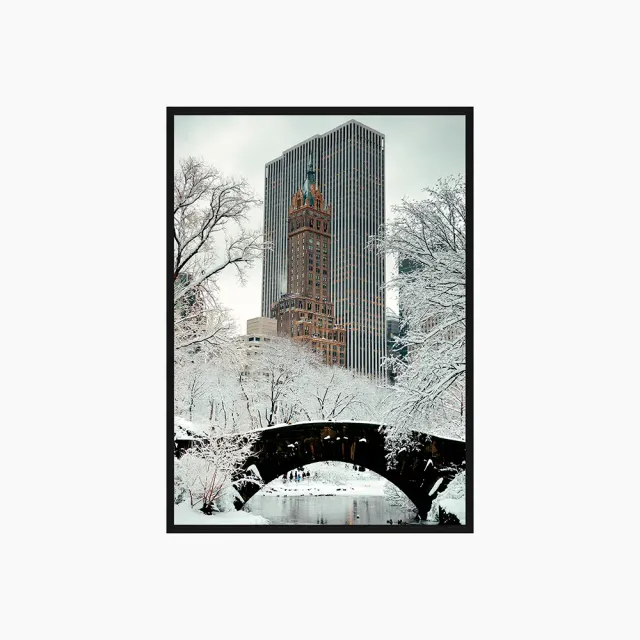 Any Image Central Park photo encadrée architecture