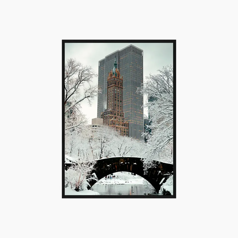 Any Image Central Park photo encadrée architecture