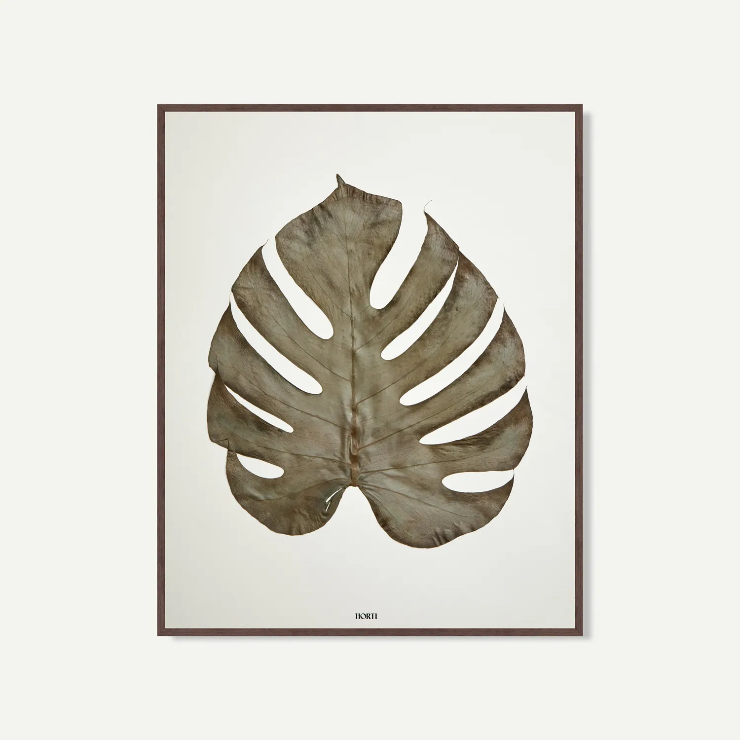 Horti LE GRAND MONSTERA herbier feuille de monstera