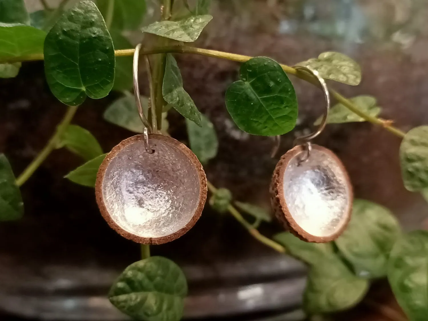 Galerie Kara Marine Cauvin boucles d'oreilles cupules