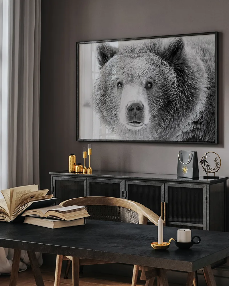 Any Image Grizzly Bear photo encadrée 100X140 noir