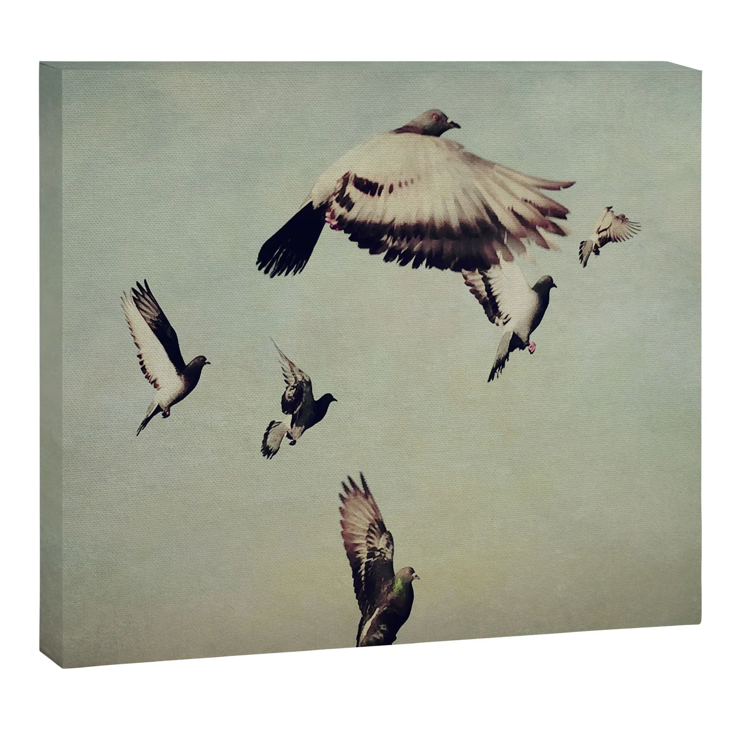 Society6 Birds in Flight toile photo nature ciel