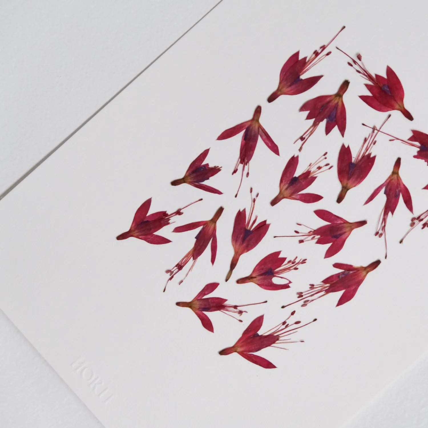 Horti Wasø herbier encadré 21x30 fuchsia