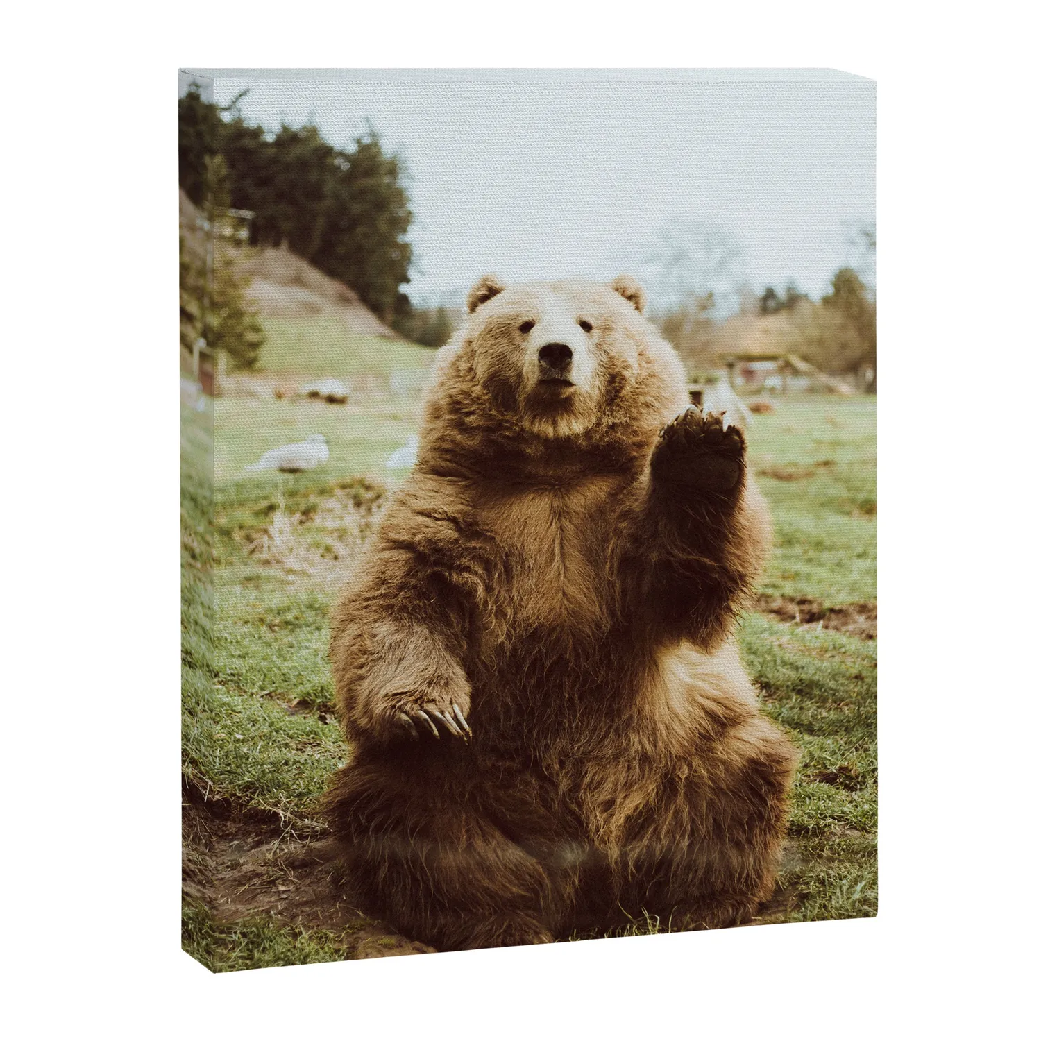 Society6 Hi Bear toile ours brun qui salue