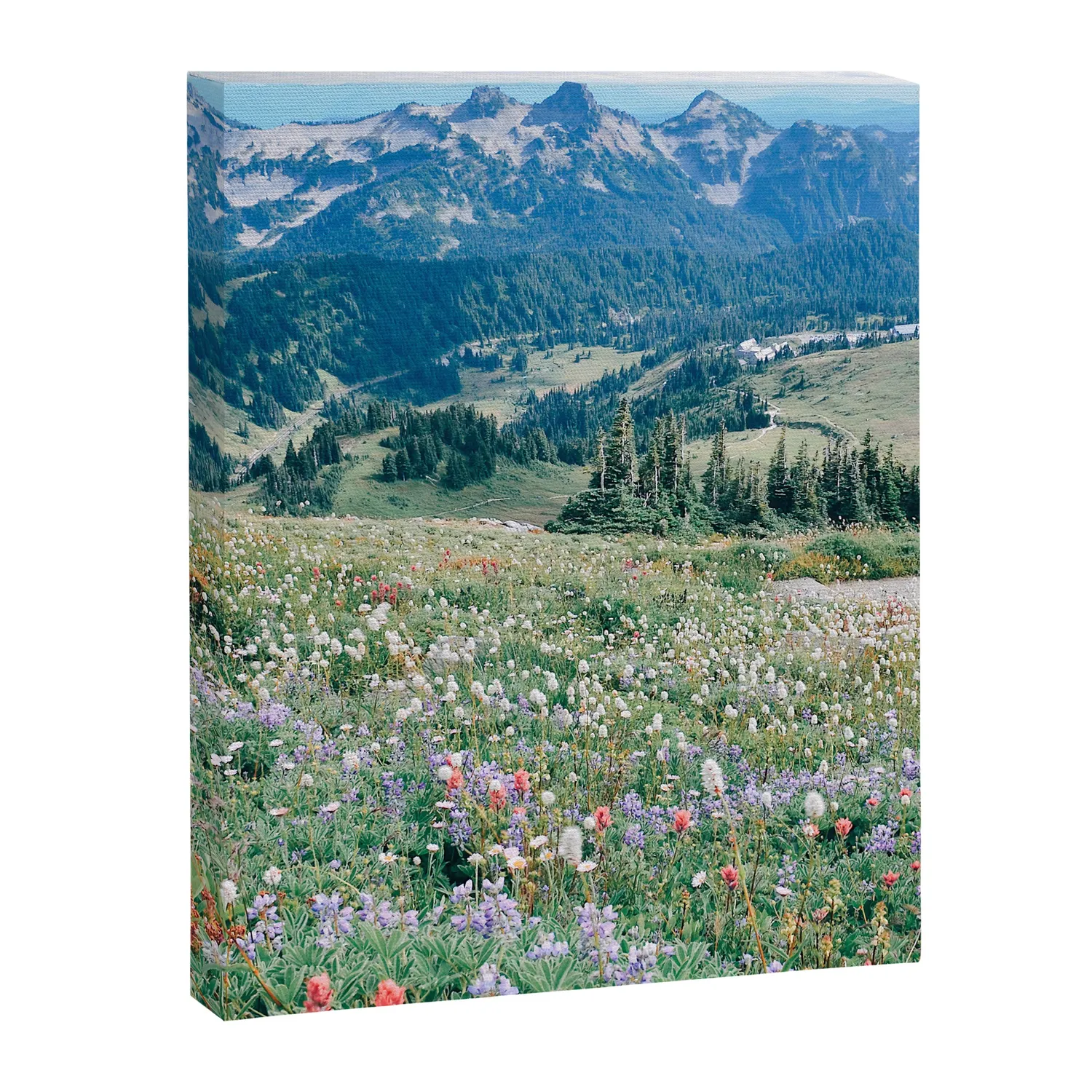 Society6 Wildflower Meadow toile prairie fleurie
