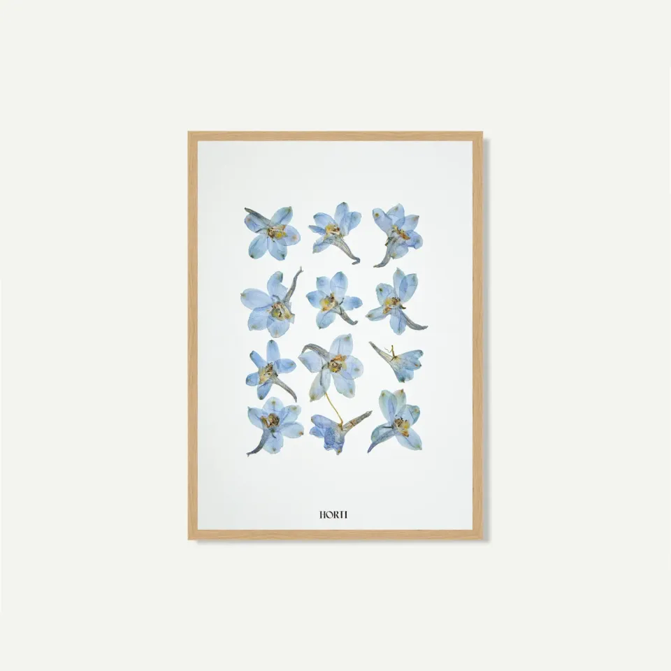 Horti Blú herbier encadré 21x30 dauphinelle