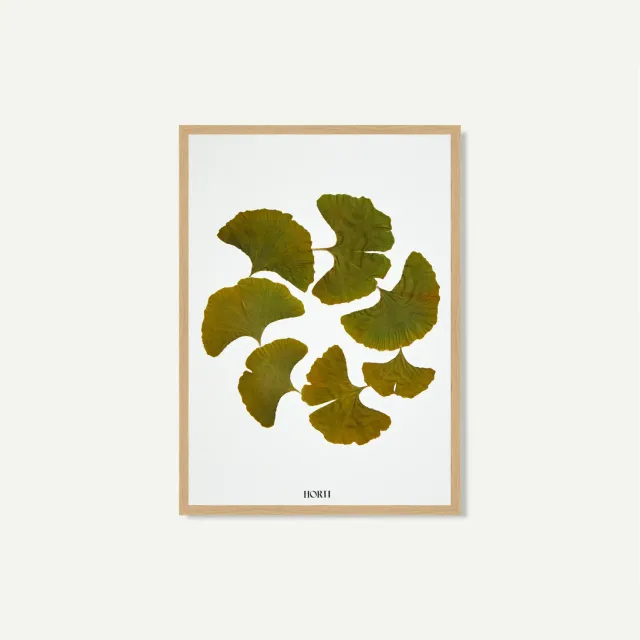 Horti HANA herbier 21x30 cm ginkgo