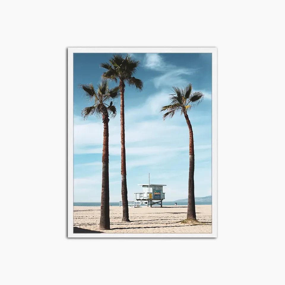 Any Image Santa Monica tirage encadré photo nature