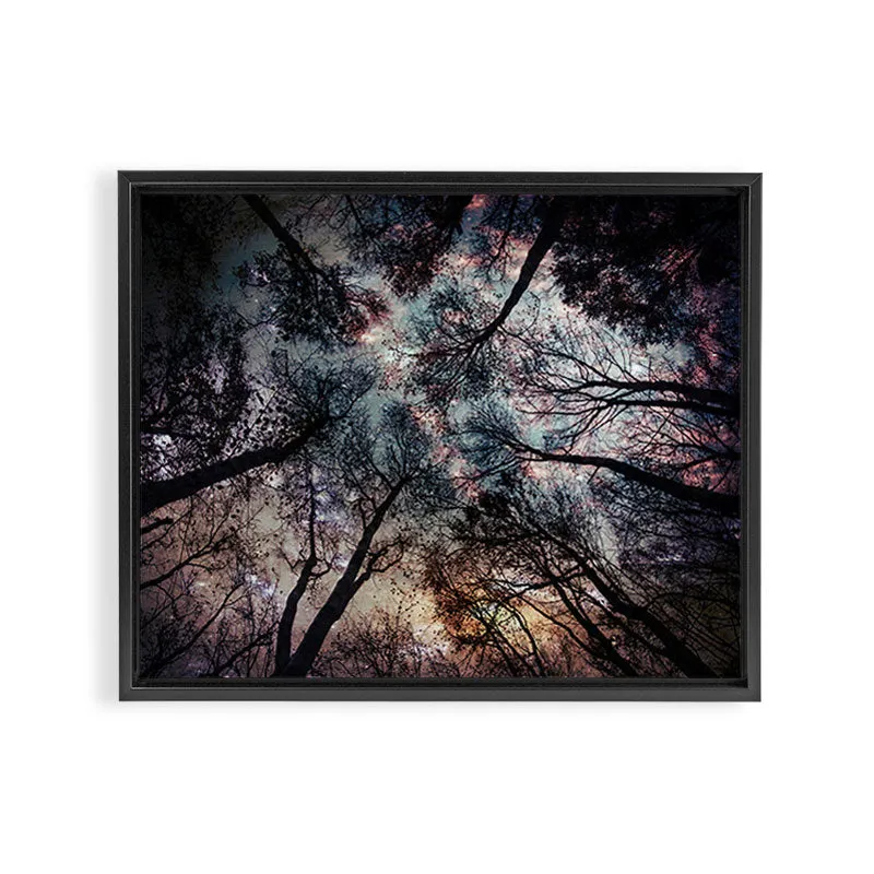 Society6 Starry Sky in the Forest toile encadrée nuit