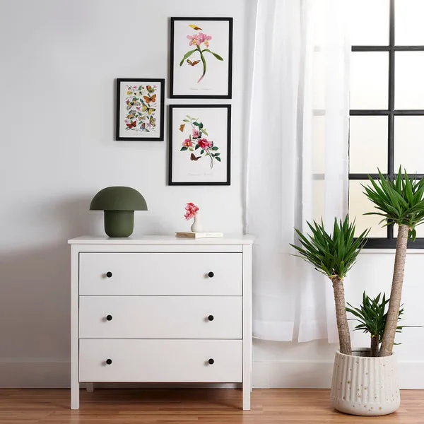 Society6 From Le Jardin Des Plantes affiche encadrée pivoines
