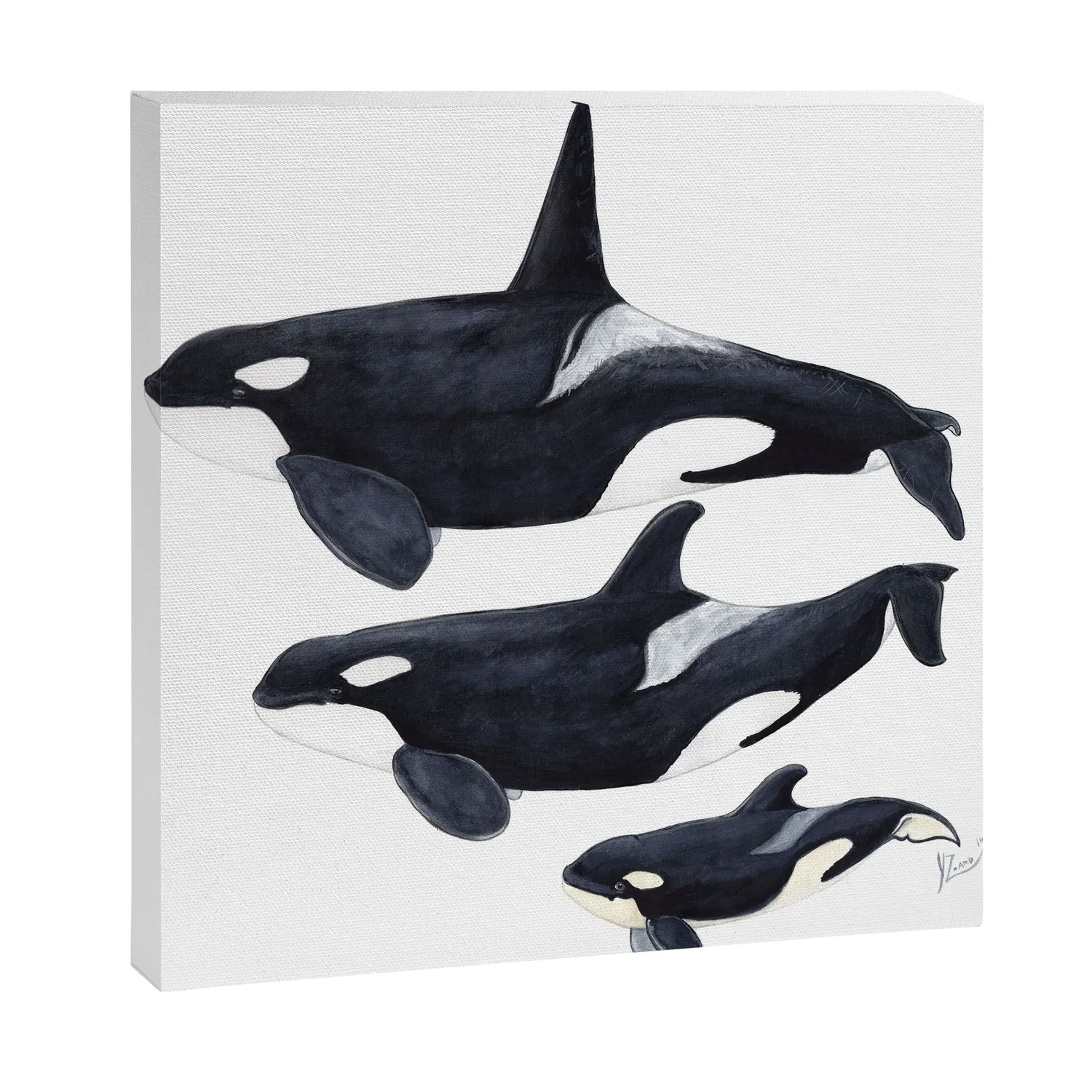 Society6 Orca Orcinus orca toile orque noir blanc