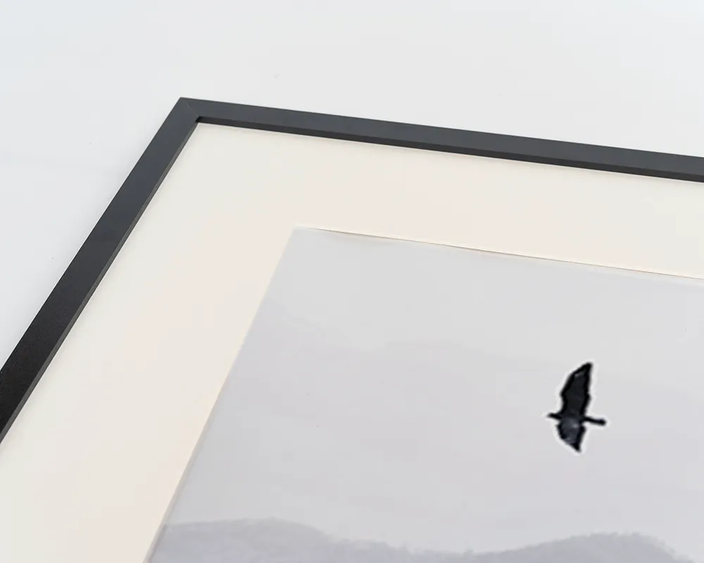 Any Image Bird Flying Over Misty Hills tableau 60X80 noir nature