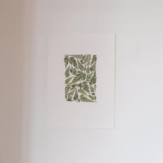 Horti Lumon herbier encadré 21x30cm fougère