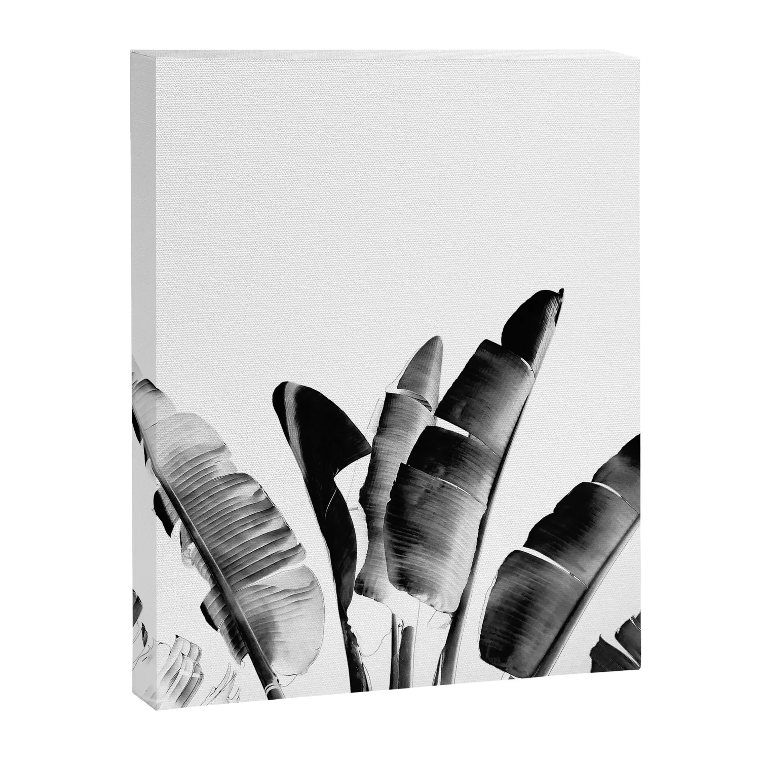 Society6 Traveler palm - bw toile feuillage