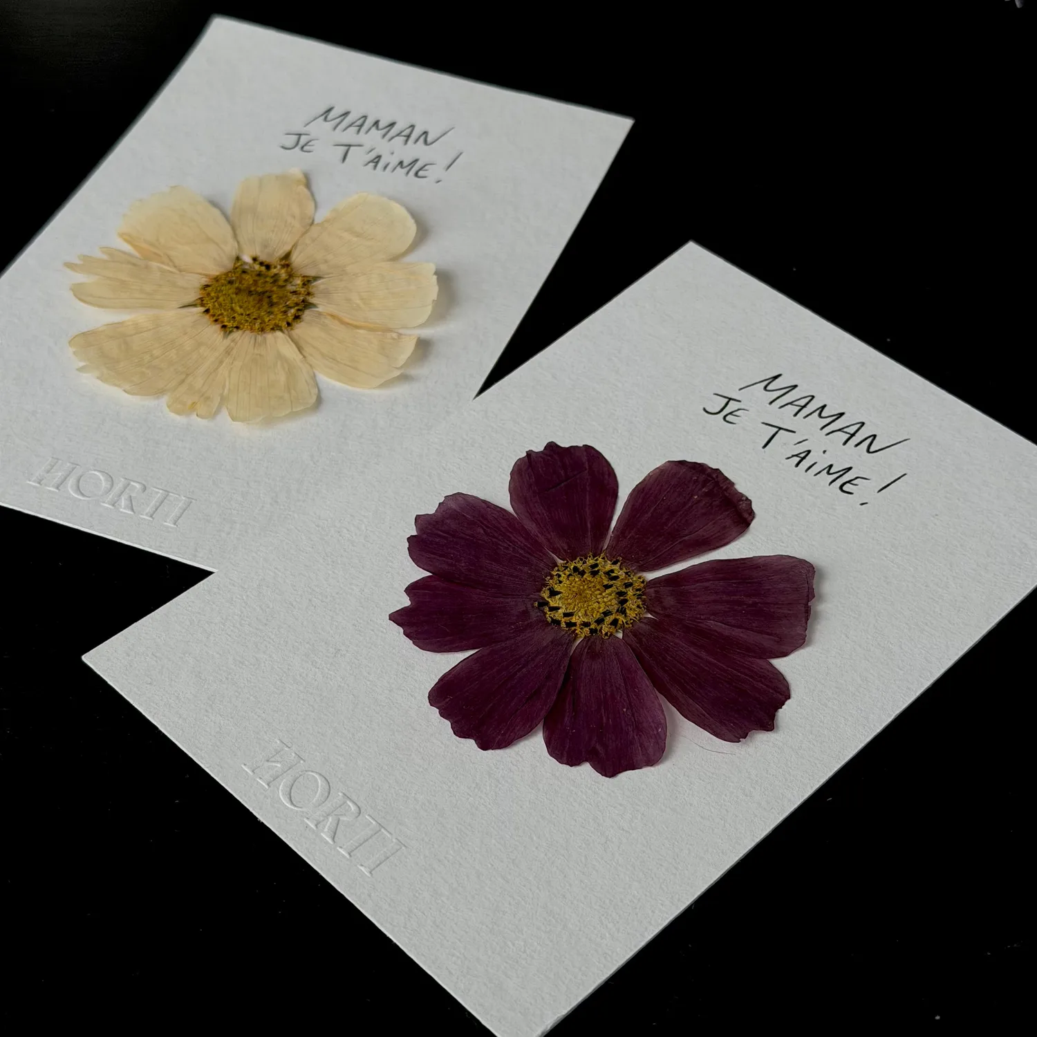 Horti Mum mini herbier encadré 10x15 cm cosmos