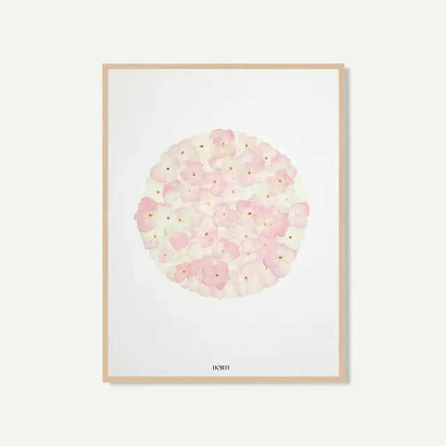Horti Bau herbier encadré 30x40 hortensia