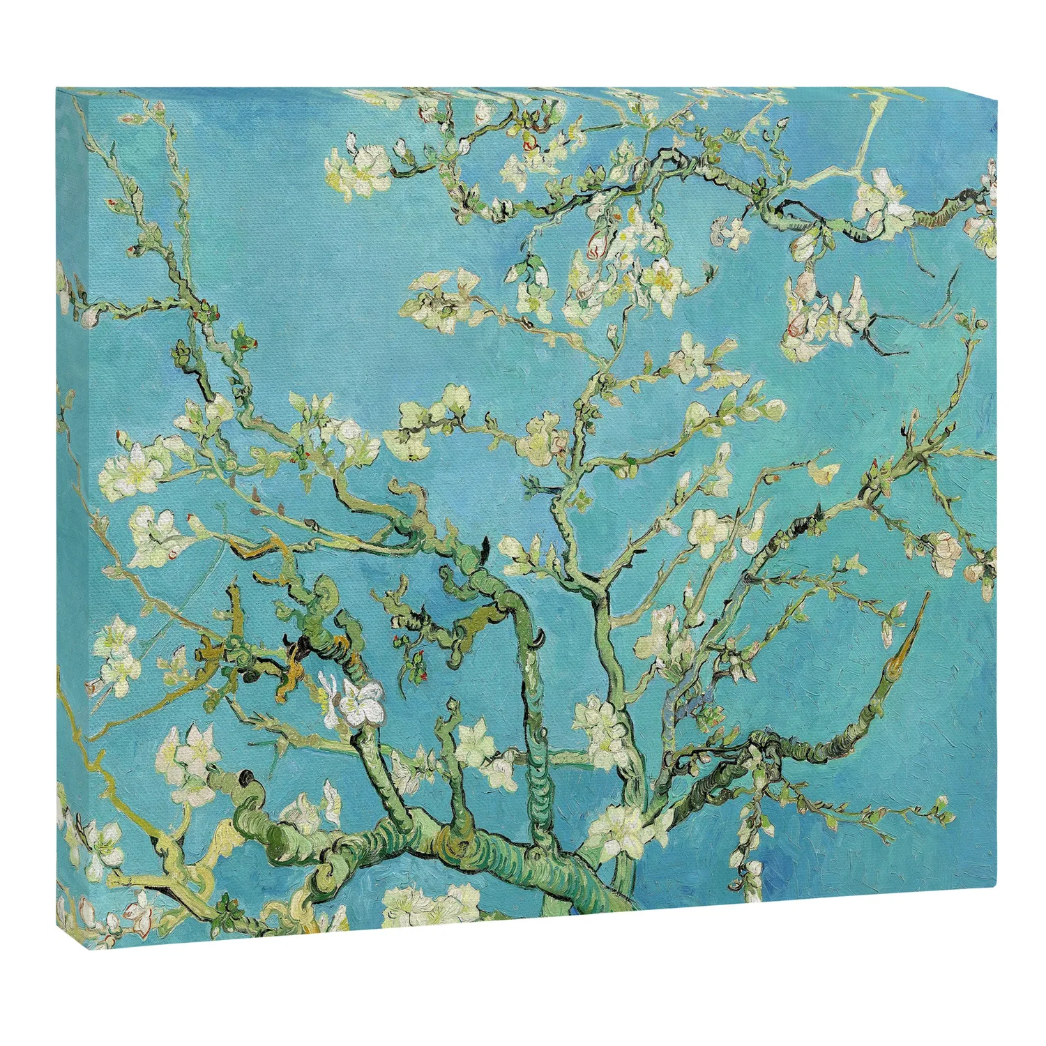 Society6 Almond Blossoms Van Gogh toile fleurs blanches