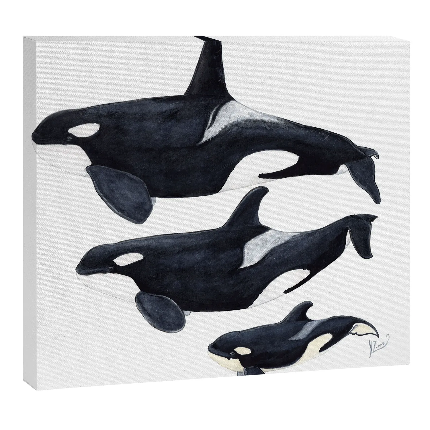 Society6 Orca Orcinus orca toile orque noir blanc