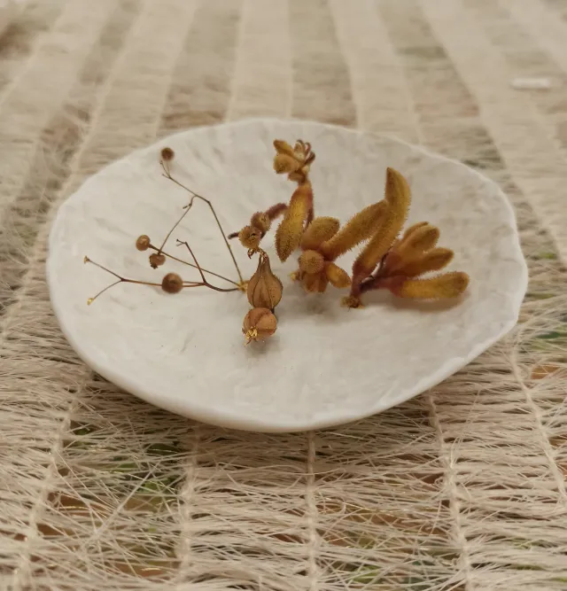 Sandrine Ramona Tonalités dorées coupelle porcelaine