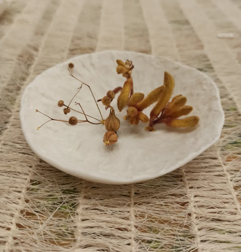 Sandrine Ramona Tonalités dorées coupelle porcelaine