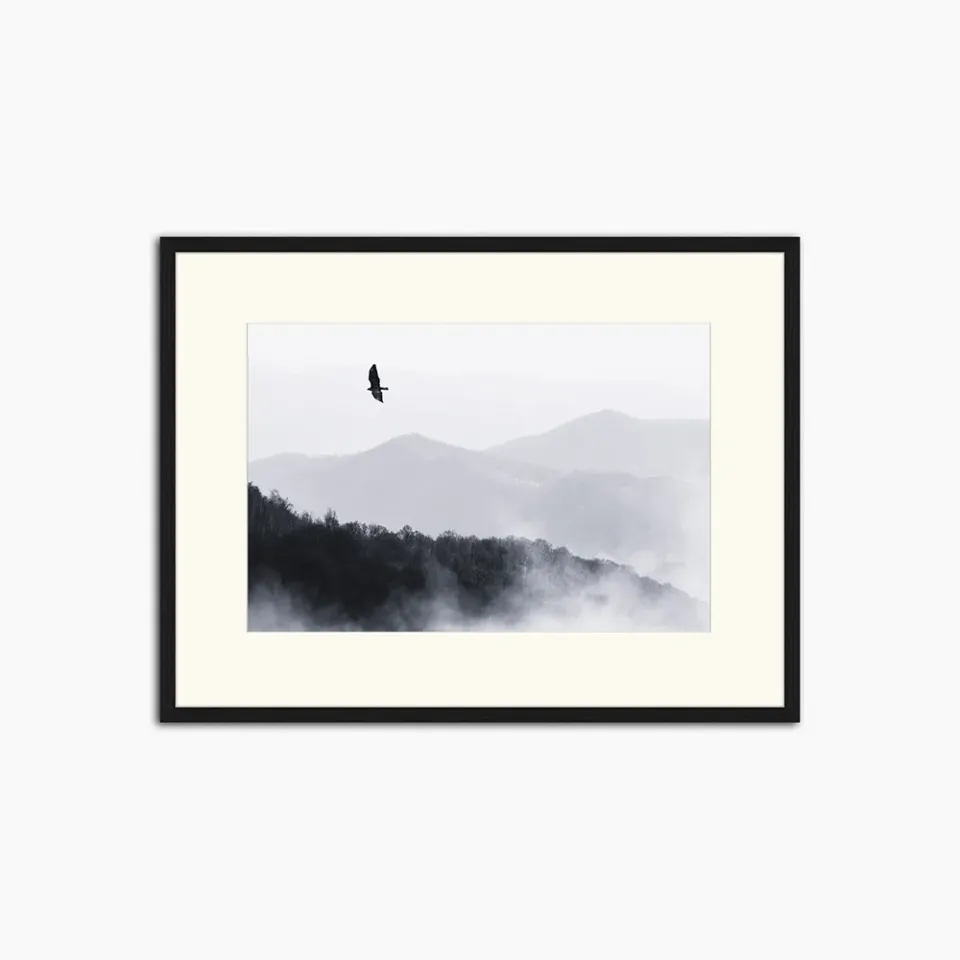 Any Image Bird Flying Over Misty Hills tableau 60X80 noir nature