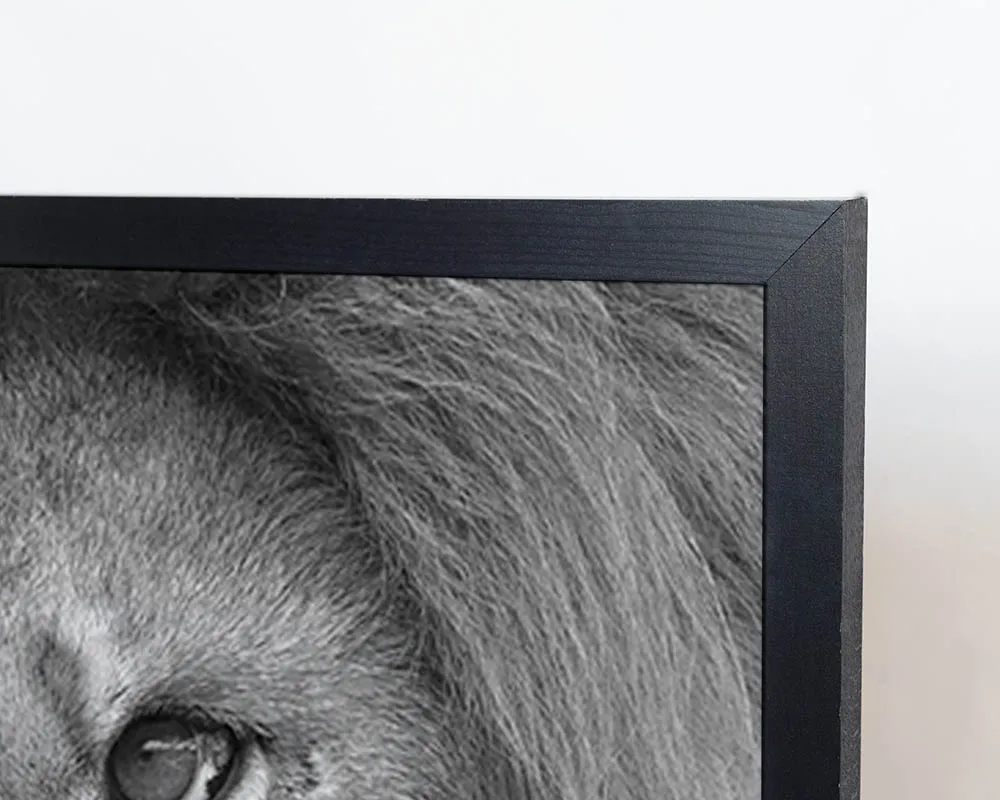 Any Image Lion King in B&W photo encadrée 100x140 noir