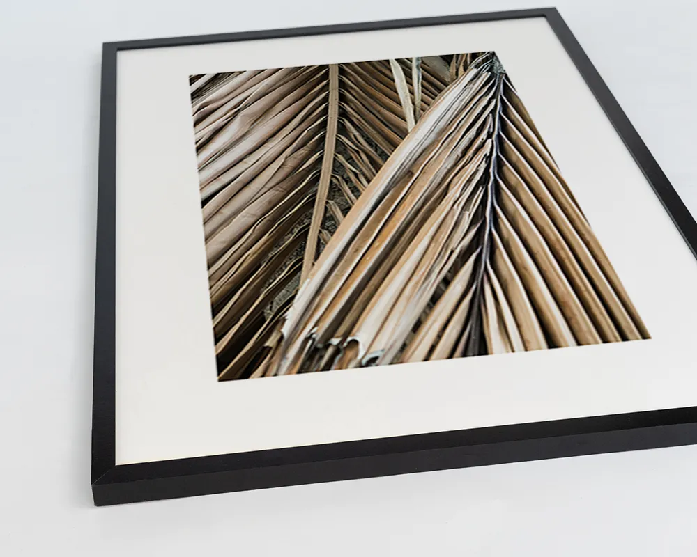 Any Image Dried Palm Fronds toile encadrée nature