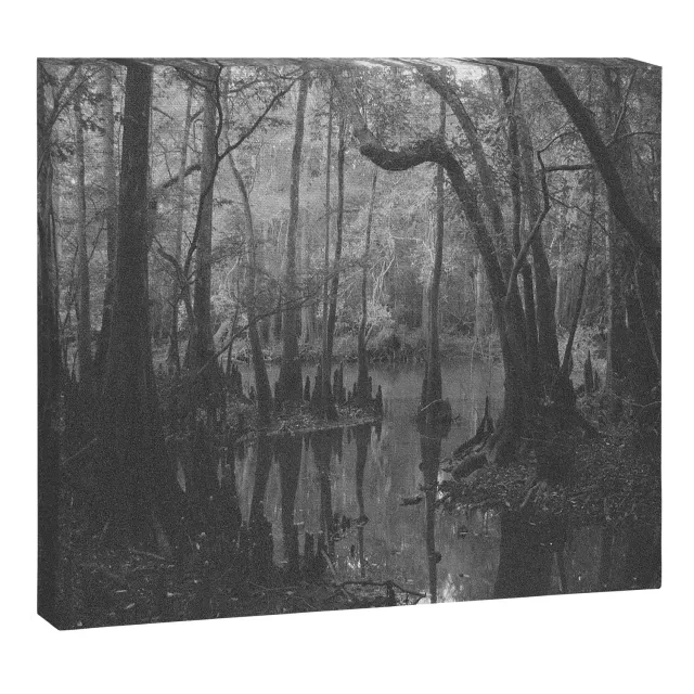 Society6 Florida Swamp toile noir et blanc