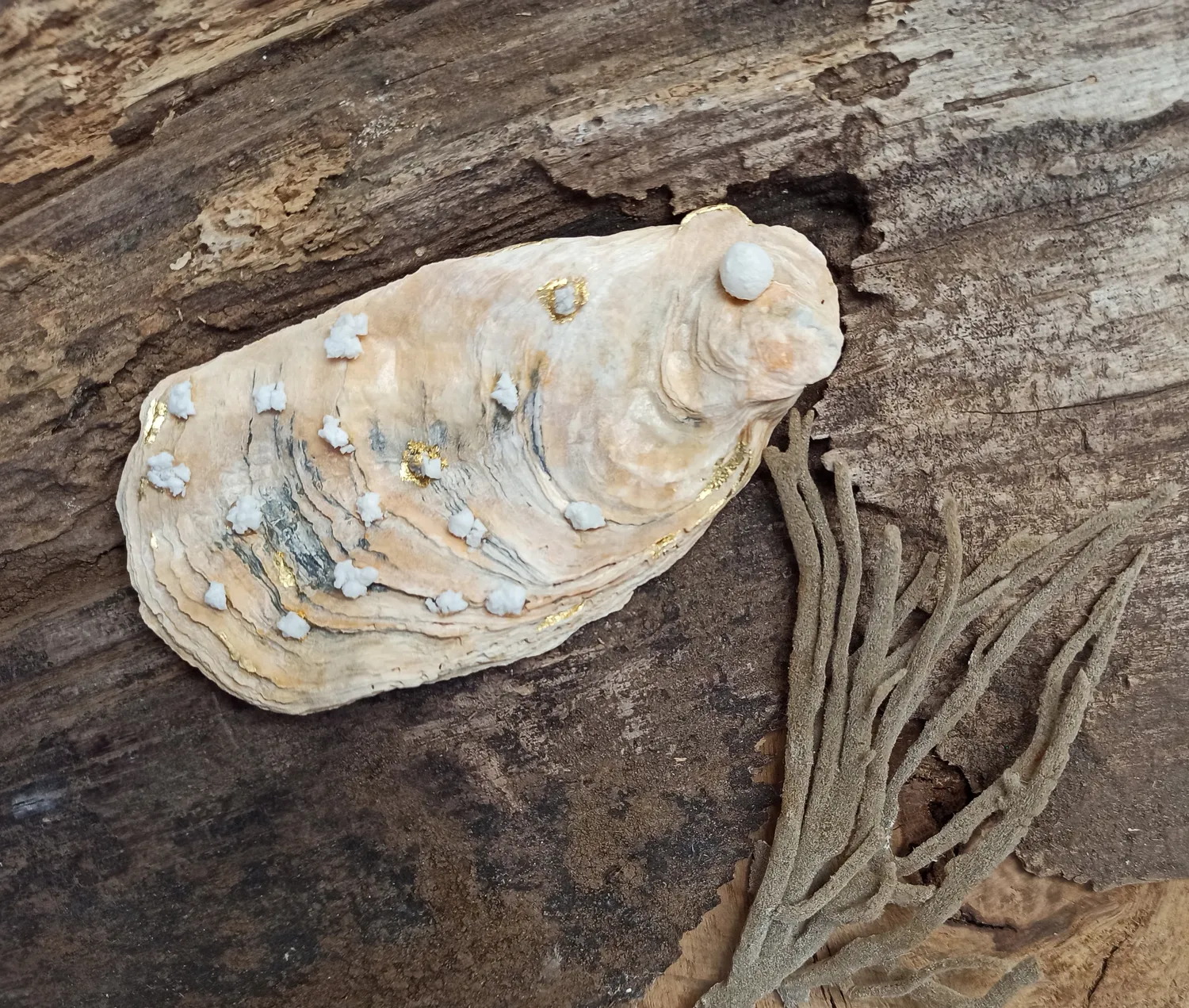 Sandrine Ramona Trésor de la Mer Préférée 2 coupelle huitre 13 cm