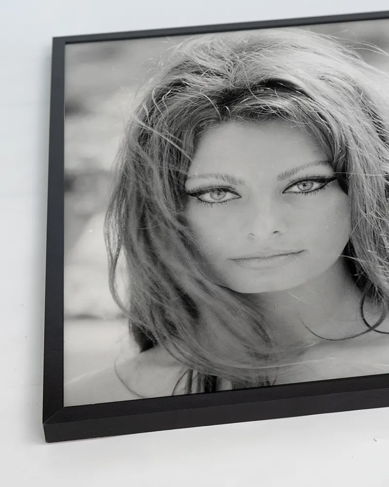 Any Image Young Sophia Loren photo Hollywood noir et blanc