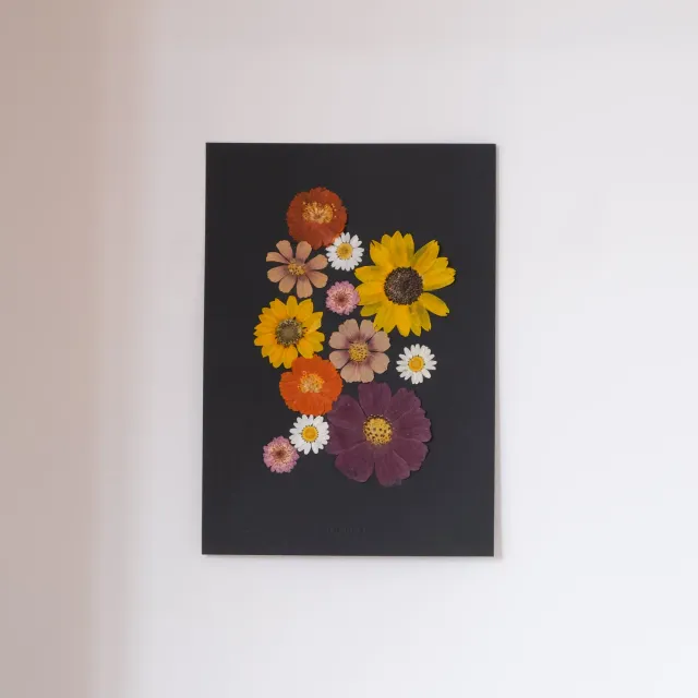 Horti Mook herbier encadré 21x30cm tournesol