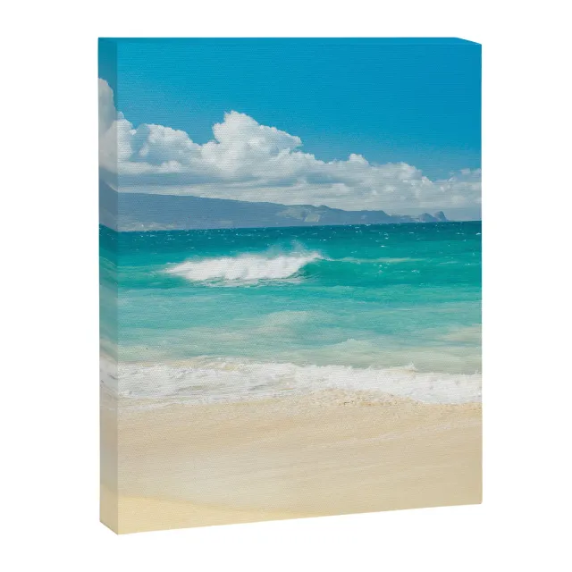 Society6 Hawaii Beach Treasures toile