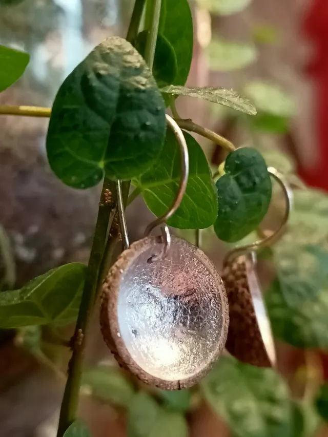 Galerie Kara Marine Cauvin boucles d'oreilles cupules