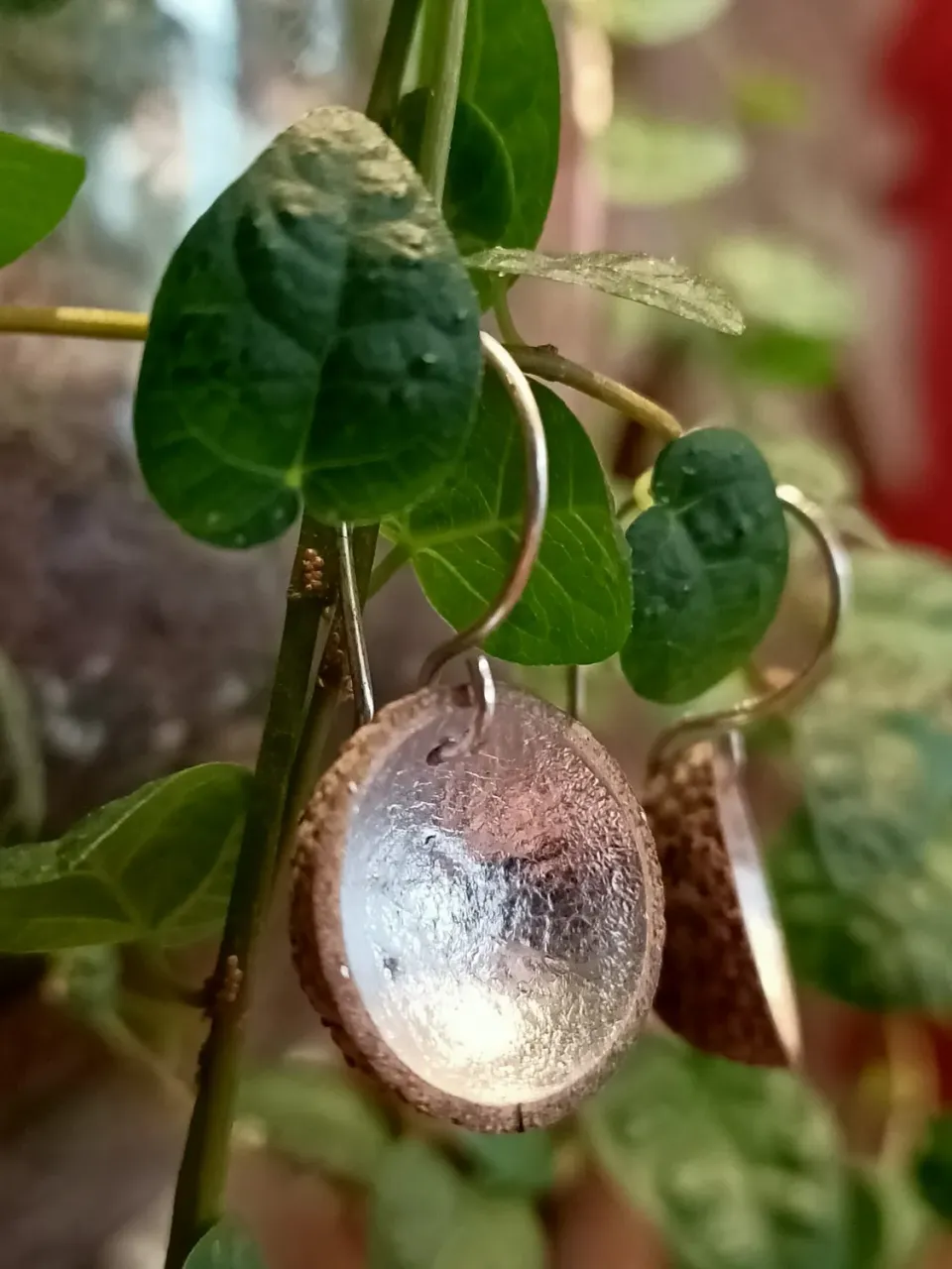 Galerie Kara Marine Cauvin boucles d'oreilles cupules