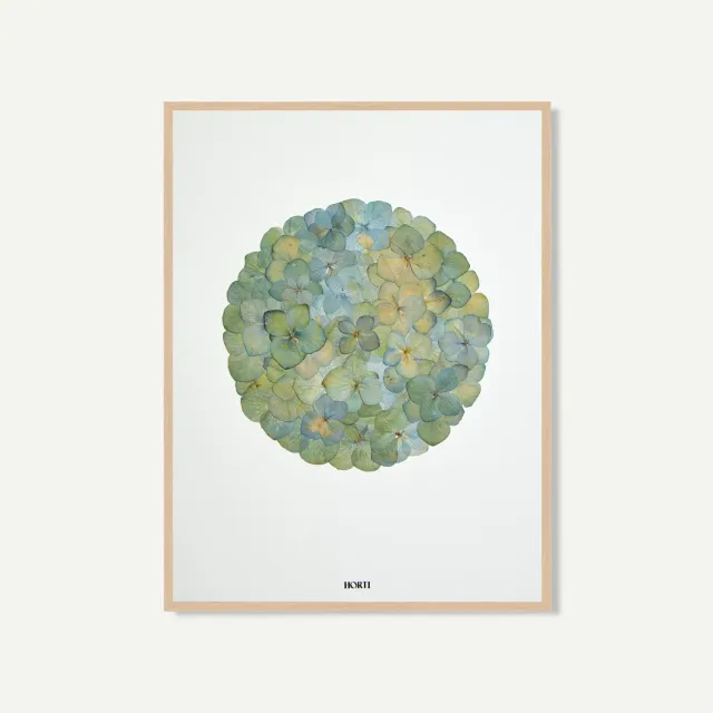 Horti Moon herbier encadré 30x40 cm hortensia