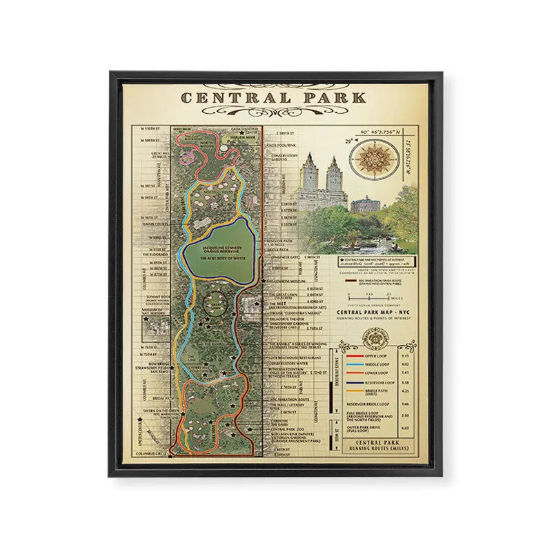 Society6 San Remo toile encadrée carte Central Park