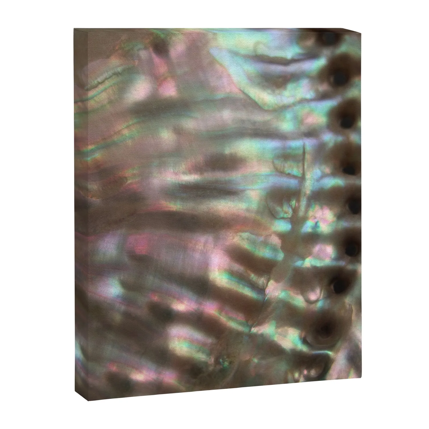 Society6 Shimmery Greenish Pink Abalone toile nacre irisée