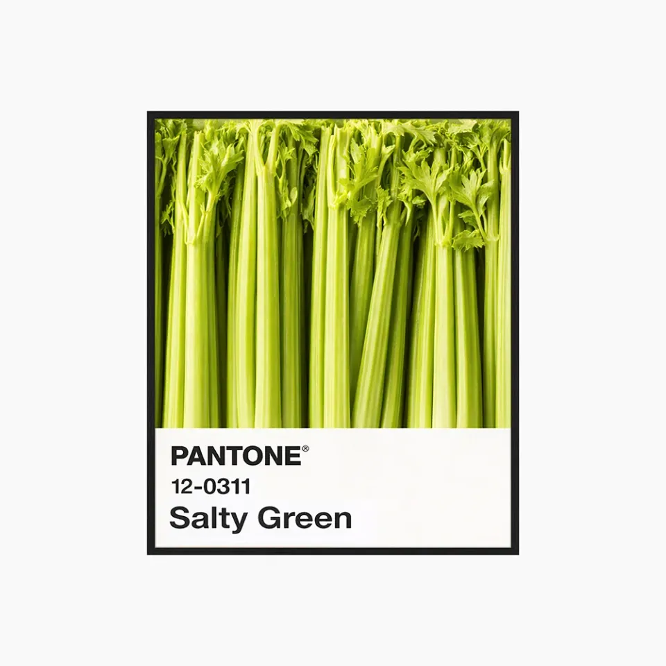 Any Image Salty Green photographie encadrée