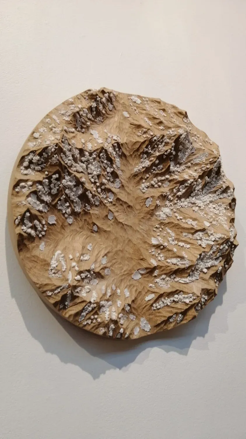 Sandrine Ramona Mer de glace œuvre murale chêne porcelaine